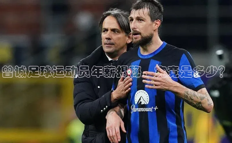 米兰体育彩票是正规的吗视觉中国曾诚足球运动员年薪揭秘，究竟是多少？