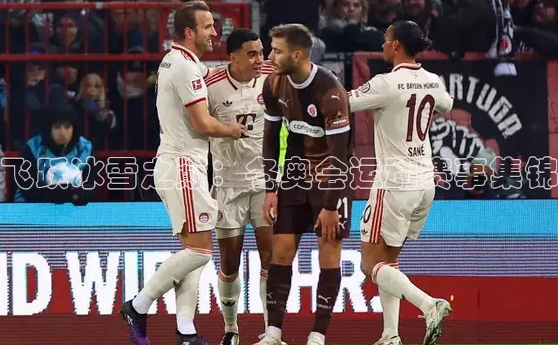 飞跃冰雪之巅：冬奥会运动赛事集锦