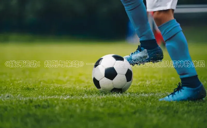 《拔河运动：规则与策略》——一场力量的较量与团队精神的体现