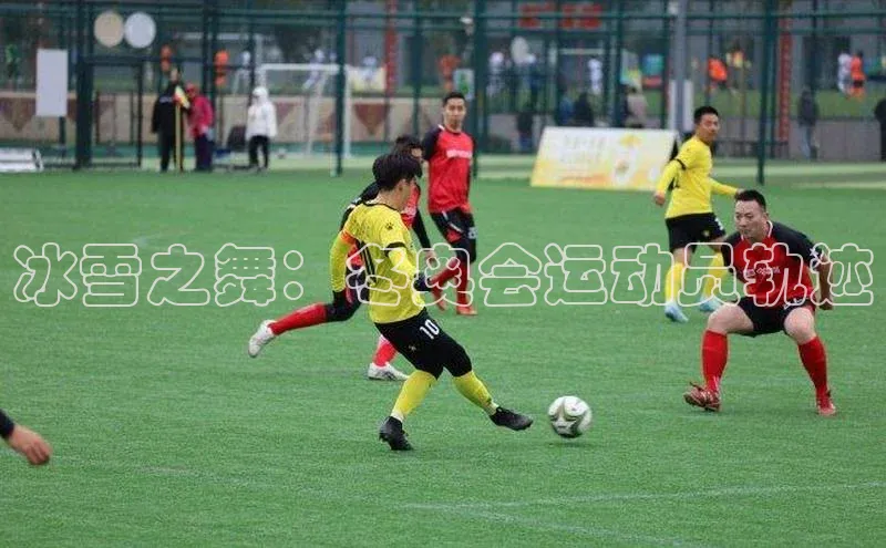 冰雪之舞：冬奥会运动员轨迹