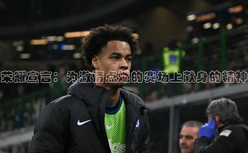 荣耀宣言：为激情点燃的赛场上献身的精神