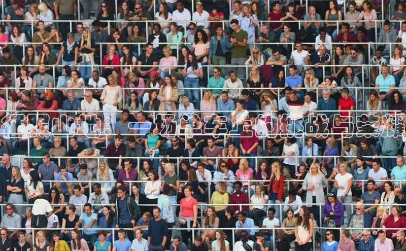 米兰app·体育登录入口