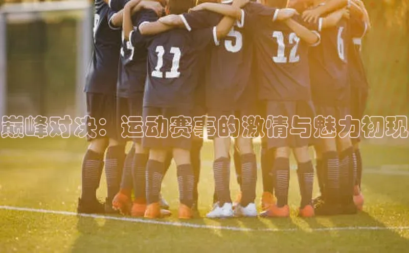 巅峰对决：运动赛事的激情与魅力初现