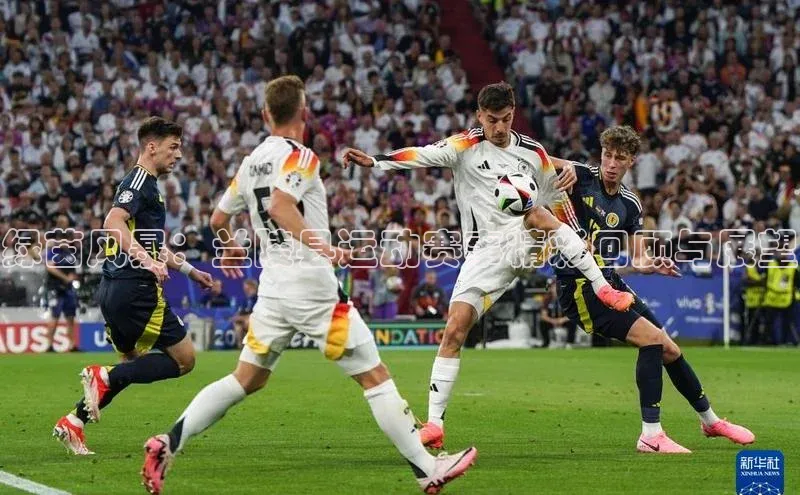 绿茵风暴：兰陵县运动赛事精彩回顾与展望