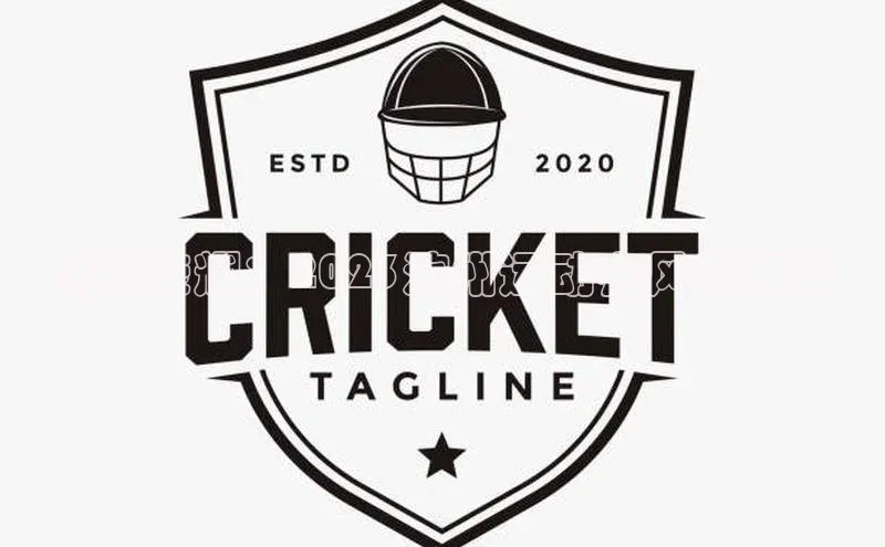 滨城荣耀：2023滨州运动会风采再现