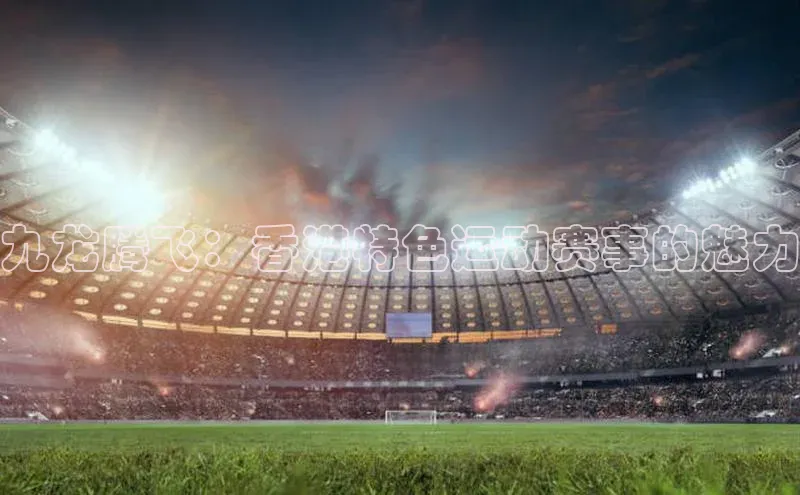 九龙腾飞：香港特色运动赛事的魅力