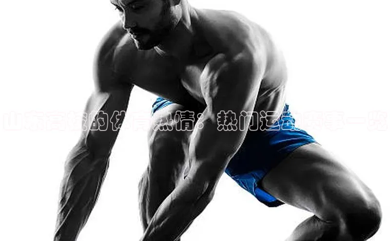 山东高校的体育热情：热门运动赛事一览