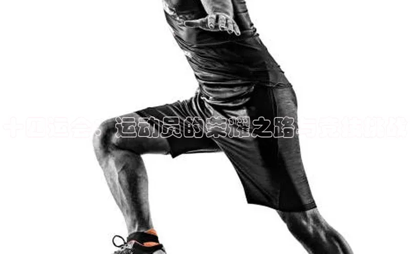 十四运会：运动员的荣耀之路与竞技挑战