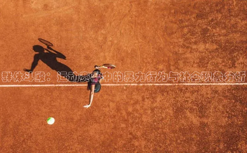 群体斗殴：运动赛事中的暴力行为与社会现象分析