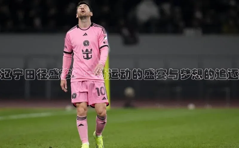 辽宁田径盛事：一场运动的盛宴与梦想的追逐
