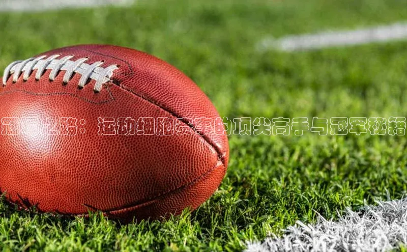 冠军之路：运动细胞赛事的顶尖高手与冠军秘籍