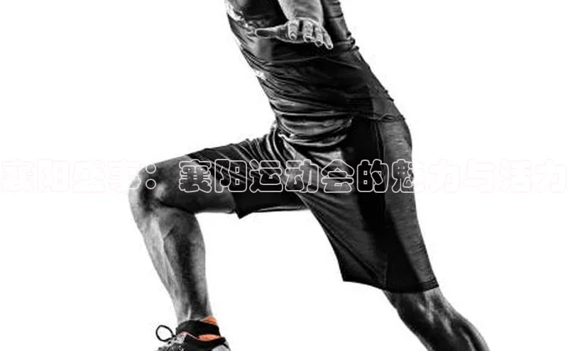 襄阳盛事：襄阳运动会的魅力与活力