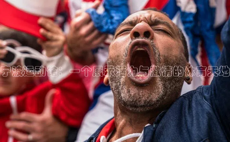 宁波运动馆：一个展示活力与激情的体育天地