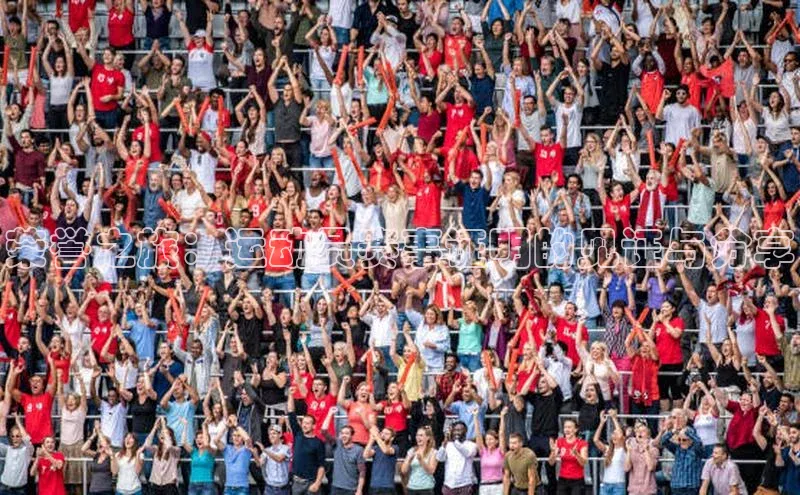 荣誉之旅：运动员赛事证明的见证与分享