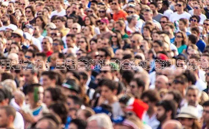 王者之力：王者荣耀运动会赛事策划与体验