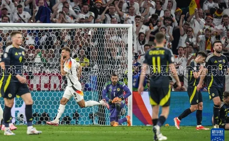 亚运运动赛事全：从开幕式到闭幕式全程解说