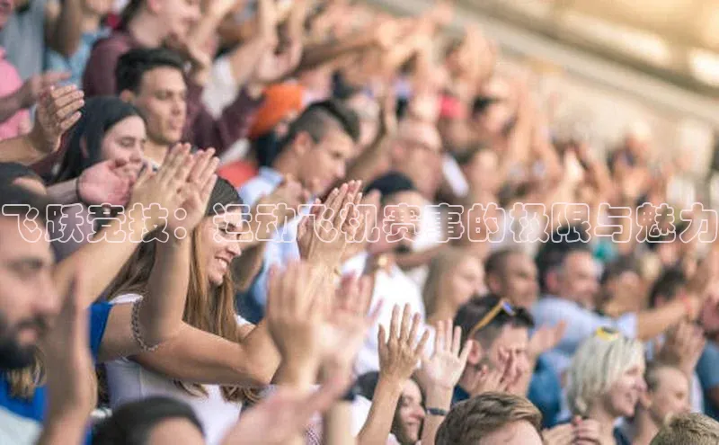 飞跃竞技：运动飞机赛事的极限与魅力