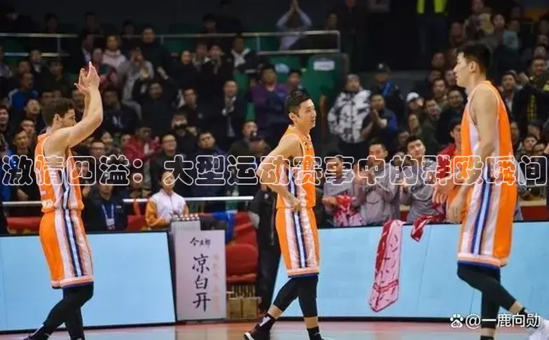 激情四溢：大型运动赛事中的群殴瞬间